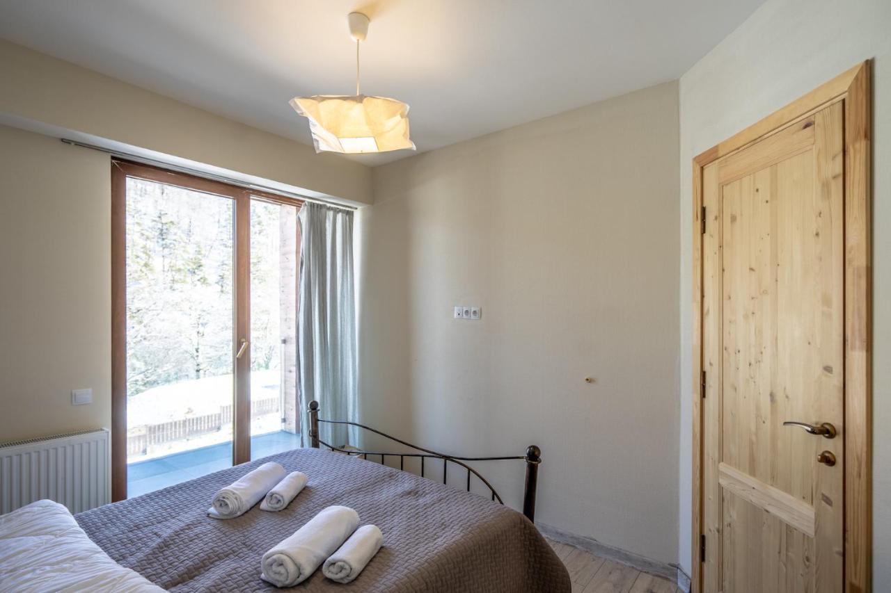 Didveli Valley Bakuriani Luaran gambar