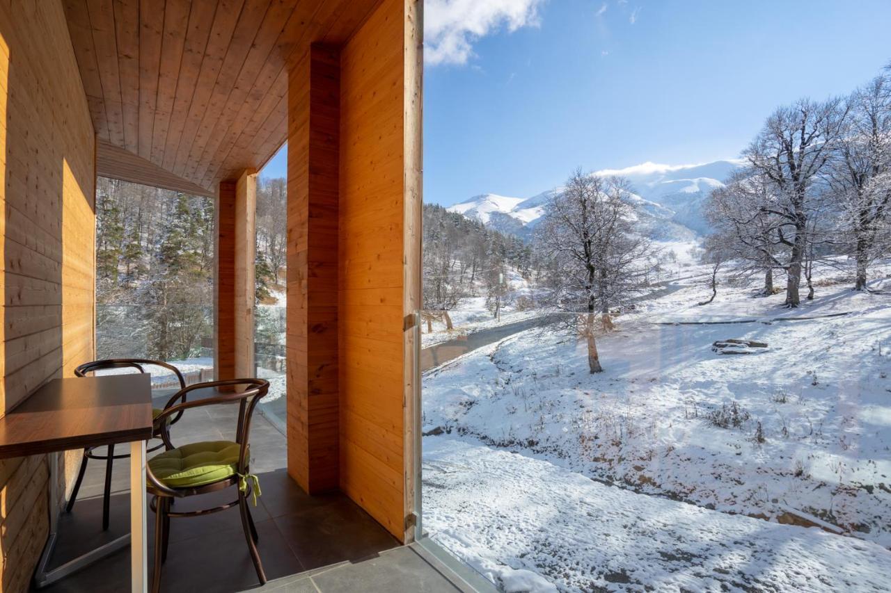 Didveli Valley Bakuriani Luaran gambar